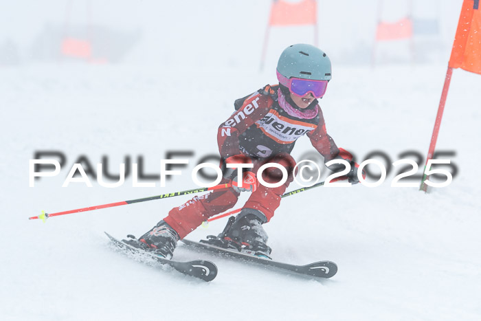 Ziener Cup Finale, Quali + PSL, 29.03.2025