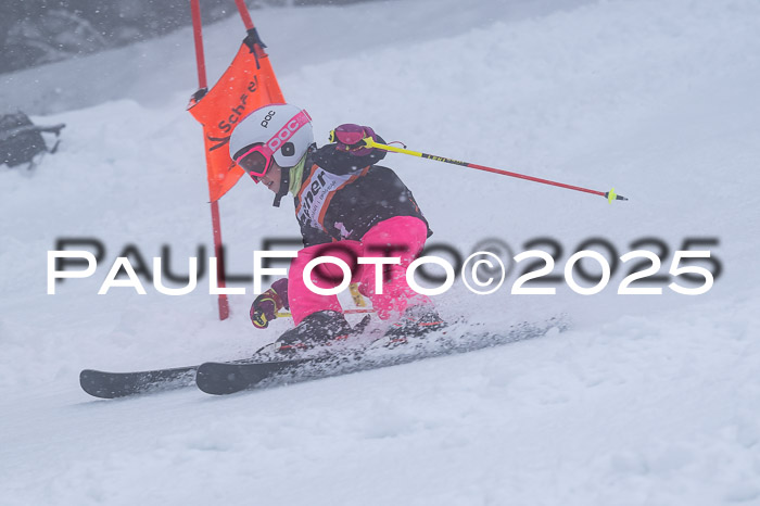 Ziener Cup Finale, Quali + PSL, 29.03.2025