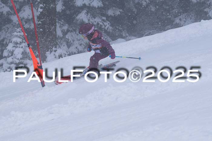 Ziener Cup Finale, Quali + PSL, 29.03.2025