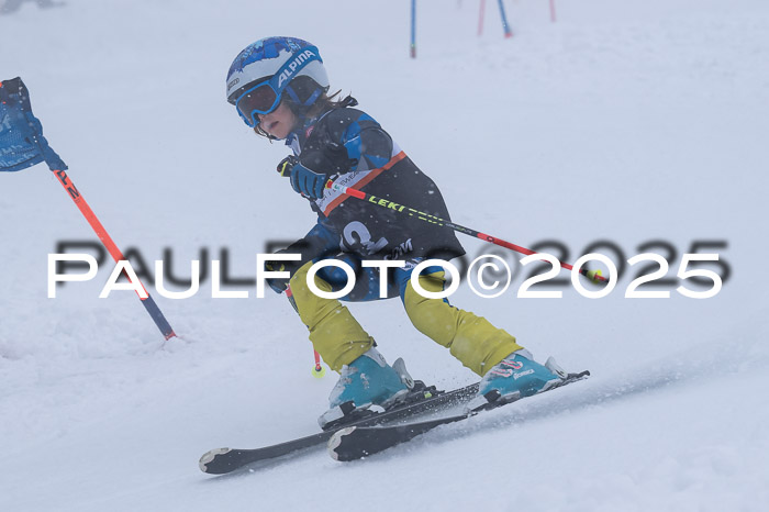 Ziener Cup Finale, Quali + PSL, 29.03.2025