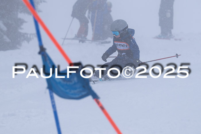 Ziener Cup Finale, Quali + PSL, 29.03.2025
