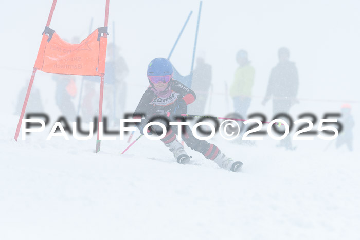 Ziener Cup Finale, Quali + PSL, 29.03.2025