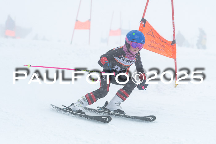 Ziener Cup Finale, Quali + PSL, 29.03.2025