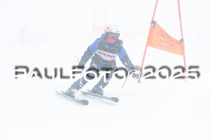Ziener Cup Finale, Quali + PSL, 29.03.2025