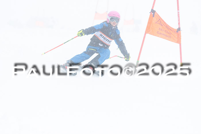 Ziener Cup Finale, Quali + PSL, 29.03.2025