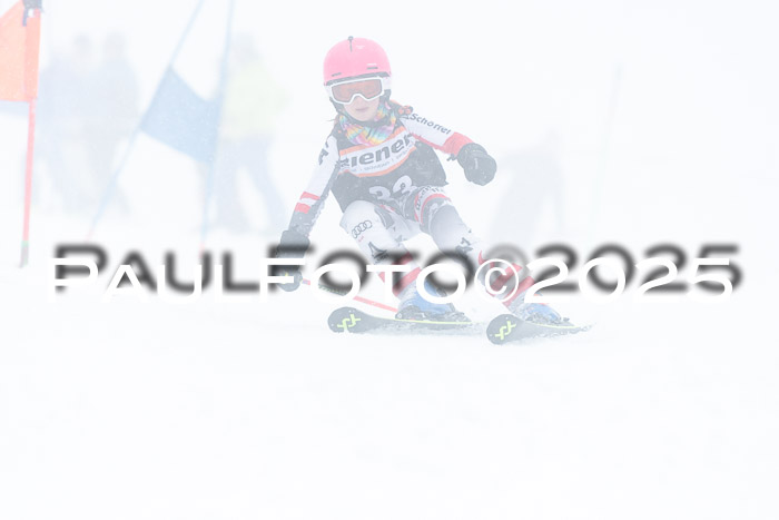 Ziener Cup Finale, Quali + PSL, 29.03.2025