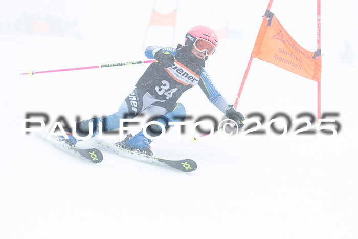 Ziener Cup Finale, Quali + PSL, 29.03.2025