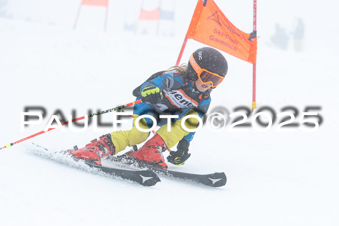 Ziener Cup Finale, Quali + PSL, 29.03.2025