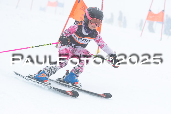 Ziener Cup Finale, Quali + PSL, 29.03.2025