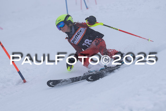 Ziener Cup Finale, Quali + PSL, 29.03.2025