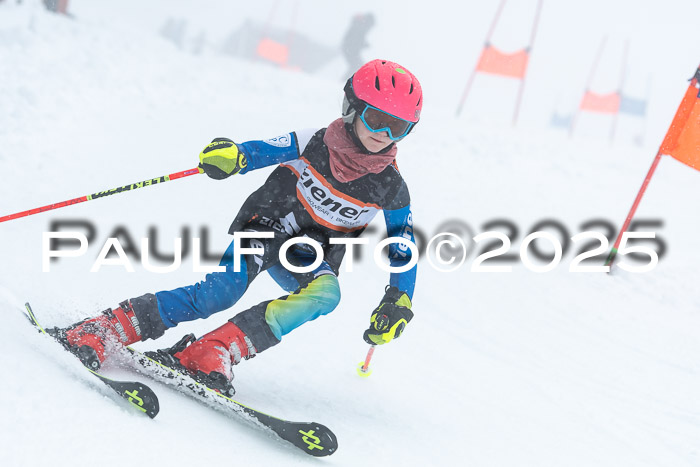 Ziener Cup Finale, Quali + PSL, 29.03.2025