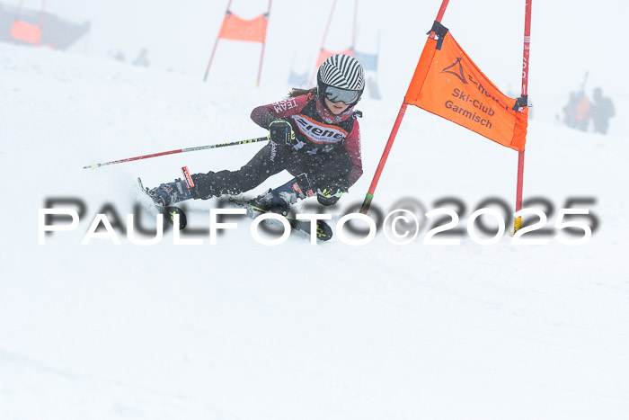 Ziener Cup Finale, Quali + PSL, 29.03.2025