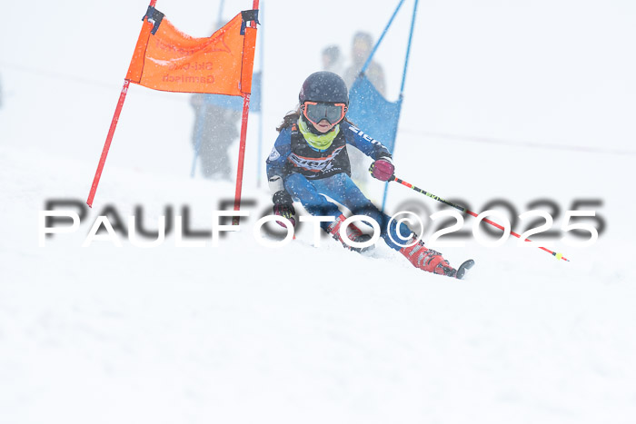 Ziener Cup Finale, Quali + PSL, 29.03.2025