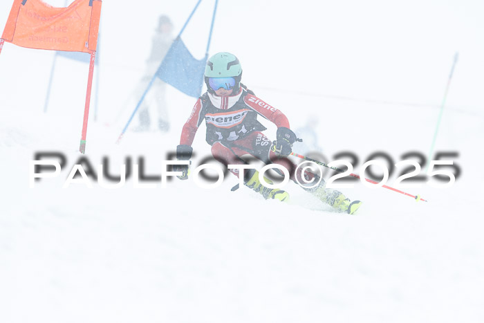 Ziener Cup Finale, Quali + PSL, 29.03.2025