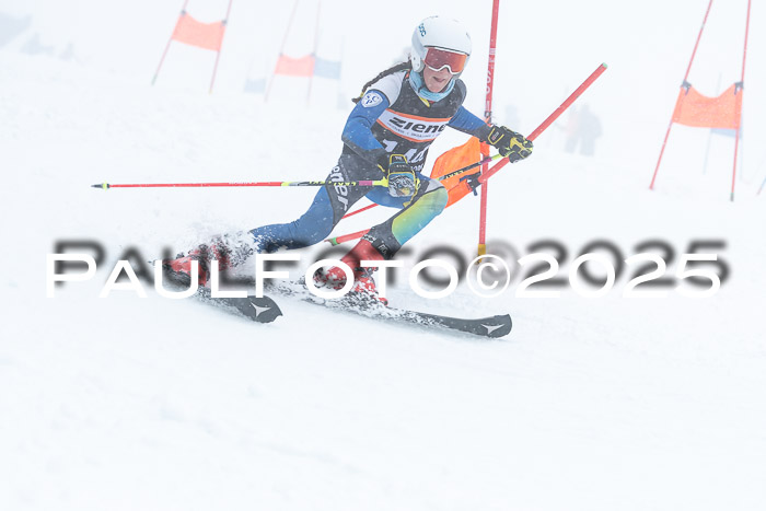 Ziener Cup Finale, Quali + PSL, 29.03.2025