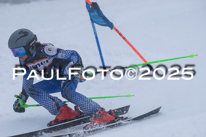Ziener Cup Finale, Quali + PSL, 29.03.2025