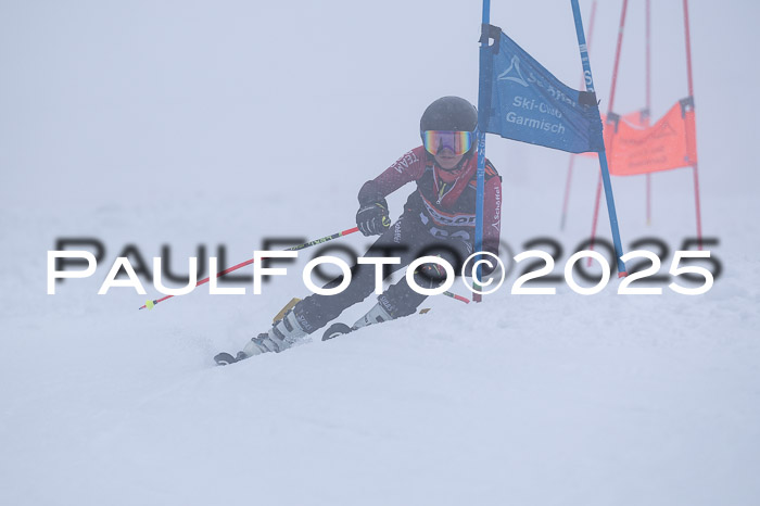 Ziener Cup Finale, Quali + PSL, 29.03.2025