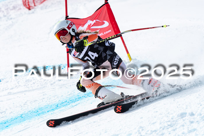 25. SVM Regionalcup-Finale 2025, Kinder, Schüler, Jugend, Erwachsene 20.03.2022