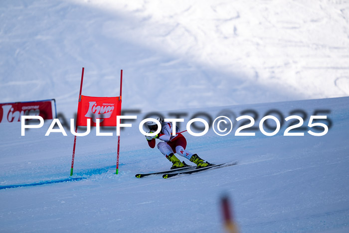IDM Abfahrt, 1. Training, Damen + Herren 02.04.2025