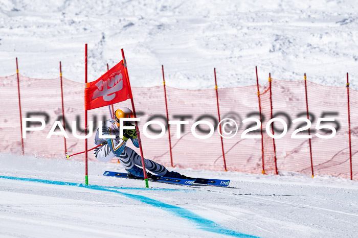 IDM Abfahrt, 1. Training, Damen + Herren 02.04.2025