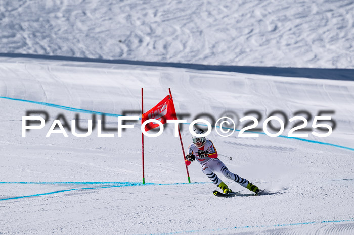 IDM Abfahrt, 1. Training, Damen + Herren 02.04.2025