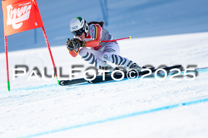 IDM Abfahrt, NC + NJC, Damen und NC + FIS Herren 03.04.2025