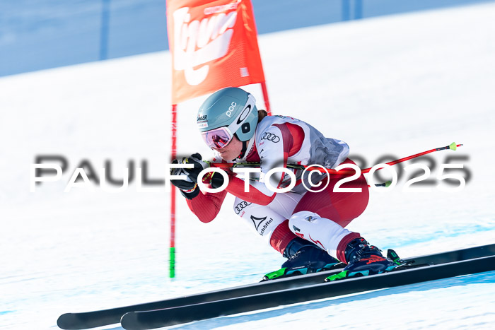 IDM Abfahrt, NC + NJC, Damen und NC + FIS Herren 03.04.2025