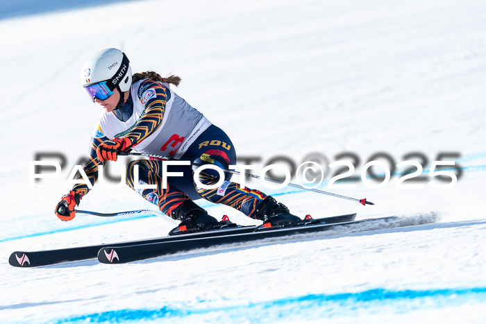 IDM Abfahrt, NC + NJC, Damen und NC + FIS Herren 03.04.2025