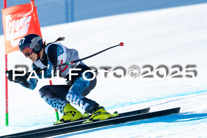 IDM Abfahrt, NC + NJC, Damen und NC + FIS Herren 03.04.2025
