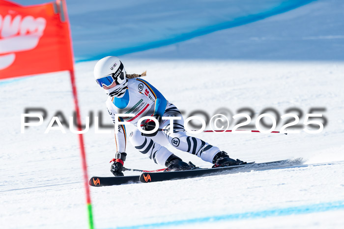 IDM Abfahrt, NC + NJC, Damen und NC + FIS Herren 03.04.2025