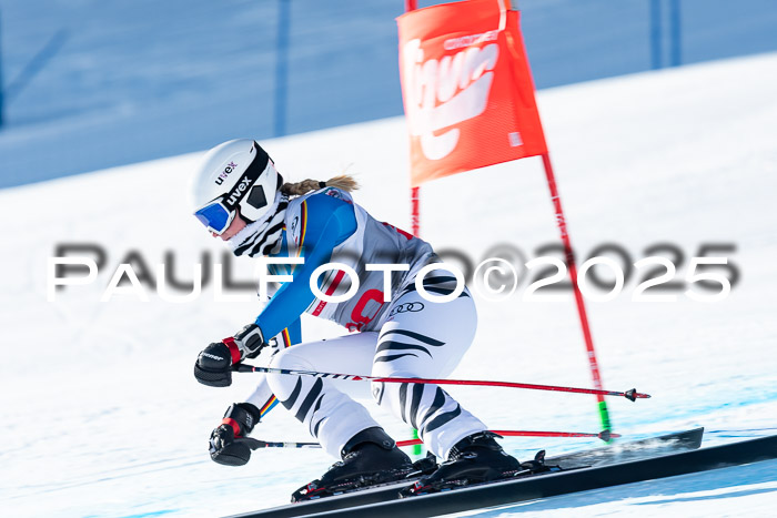 IDM Abfahrt, NC + NJC, Damen und NC + FIS Herren 03.04.2025