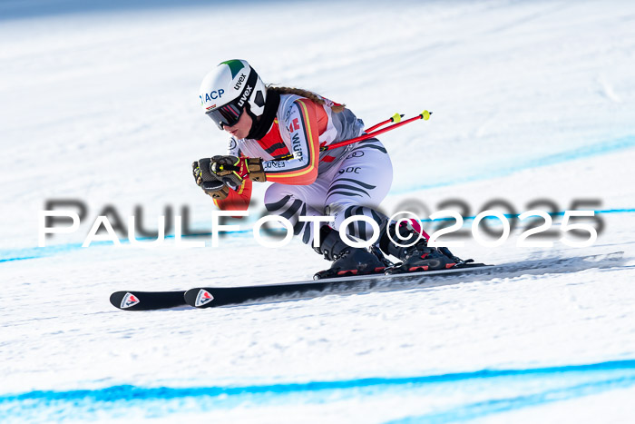 IDM Abfahrt, NC + NJC, Damen und NC + FIS Herren 03.04.2025