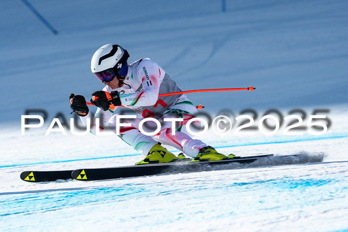 IDM Abfahrt, NC + NJC, Damen und NC + FIS Herren 03.04.2025