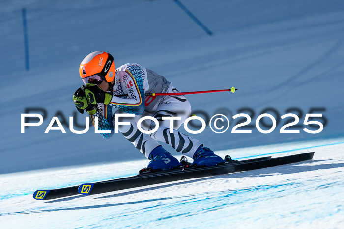 IDM Abfahrt, NC + NJC, Damen und NC + FIS Herren 03.04.2025