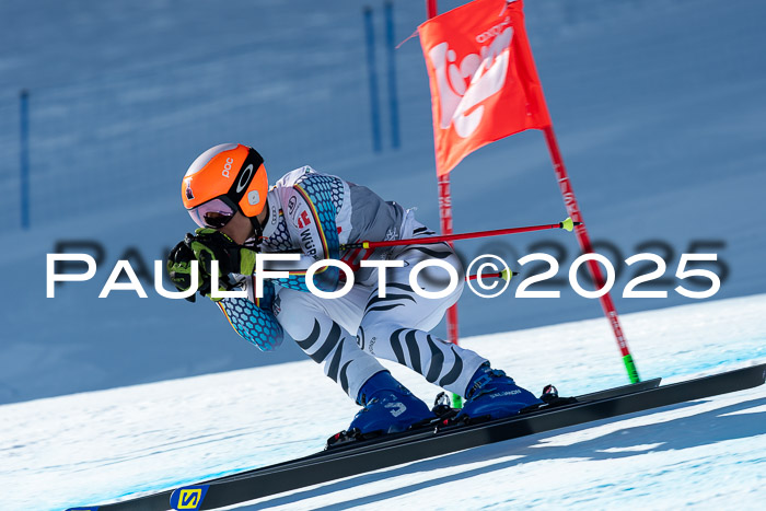 IDM Abfahrt, NC + NJC, Damen und NC + FIS Herren 03.04.2025