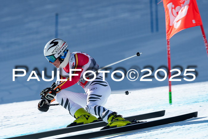 IDM Abfahrt, NC + NJC, Damen und NC + FIS Herren 03.04.2025
