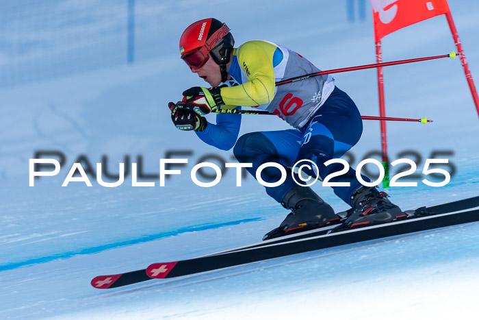 IDM Abfahrt, NC + NJC, Damen und NC + FIS Herren 03.04.2025