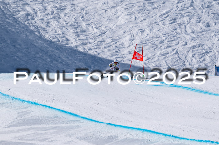 IDM Abfahrt, NC + NJC, Damen und NC + FIS Herren 03.04.2025