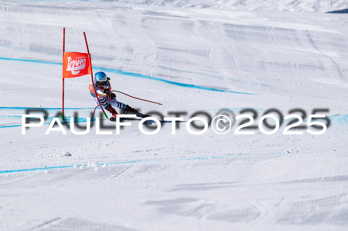 IDM Abfahrt, NC + NJC, Damen und NC + FIS Herren 03.04.2025