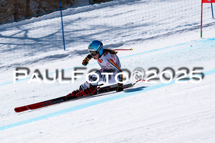 IDM Abfahrt, NC + NJC, Damen und NC + FIS Herren 03.04.2025