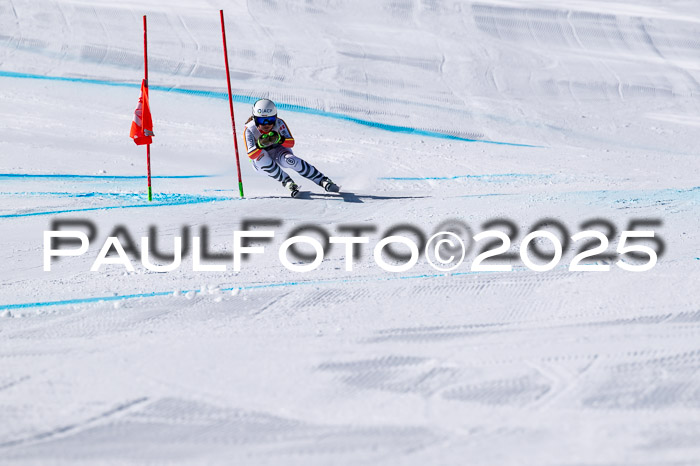 IDM Abfahrt, NC + NJC, Damen und NC + FIS Herren 03.04.2025