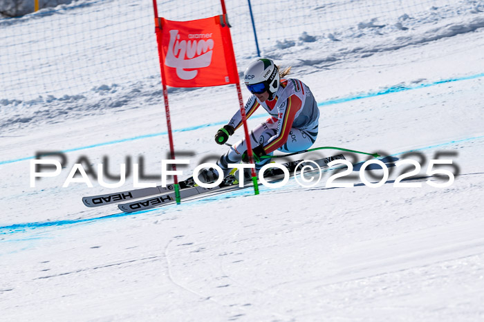 IDM Abfahrt, NC + NJC, Damen und NC + FIS Herren 03.04.2025