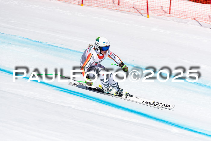 IDM Abfahrt, NC + NJC, Damen und NC + FIS Herren 03.04.2025