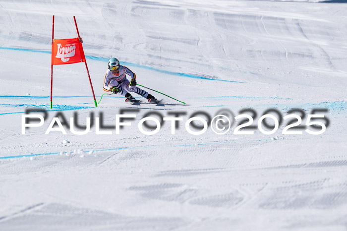IDM Abfahrt, NC + NJC, Damen und NC + FIS Herren 03.04.2025