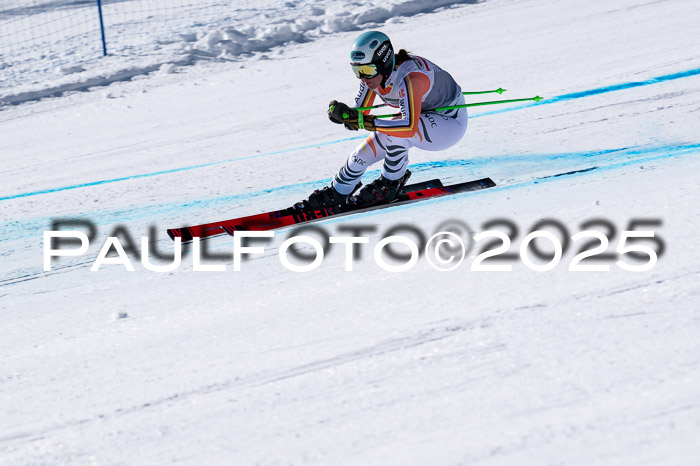 IDM Abfahrt, NC + NJC, Damen und NC + FIS Herren 03.04.2025