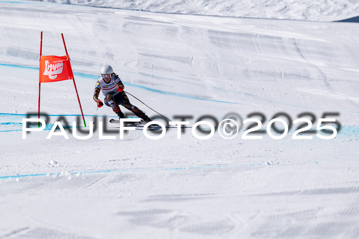 IDM Abfahrt, NC + NJC, Damen und NC + FIS Herren 03.04.2025
