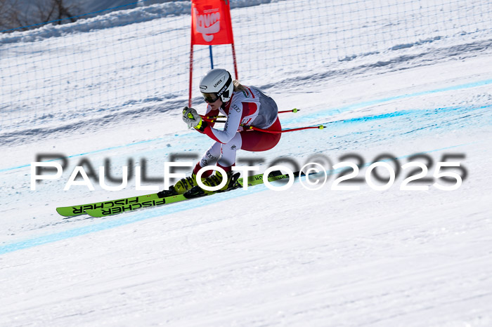 IDM Abfahrt, NC + NJC, Damen und NC + FIS Herren 03.04.2025