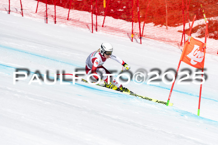 IDM Abfahrt, NC + NJC, Damen und NC + FIS Herren 03.04.2025