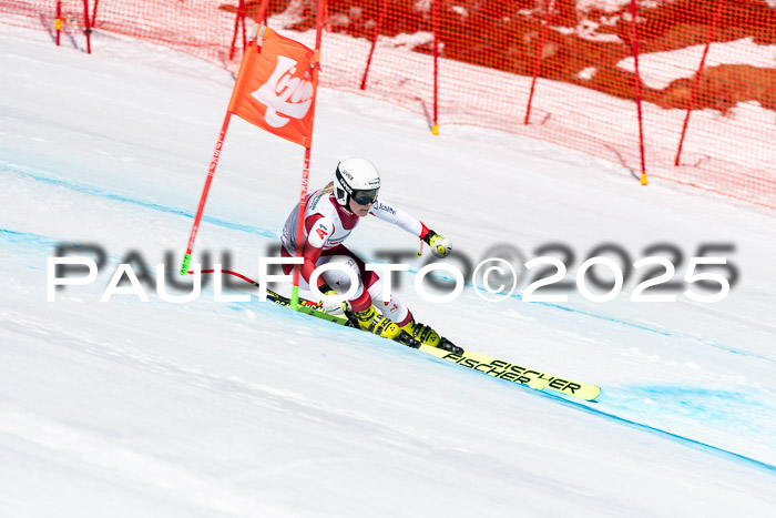 IDM Abfahrt, NC + NJC, Damen und NC + FIS Herren 03.04.2025