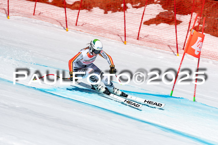 IDM Abfahrt, NC + NJC, Damen und NC + FIS Herren 03.04.2025